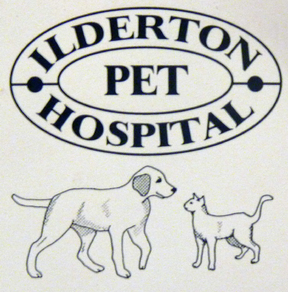 Ilderton Pet Hospital