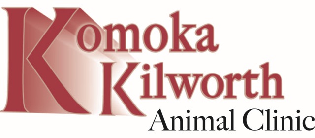 Komoka Kilworth Animal Clinic